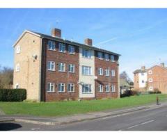 Home Buyer / Seller Report of a Gas and Electrical Installation on 01245 730896 in Chelmsford